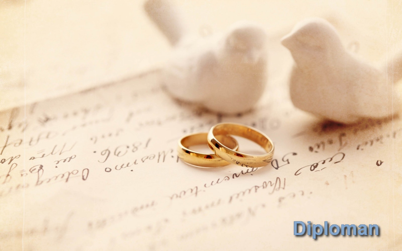 Свадьба голуби кольца свидетельство о браке